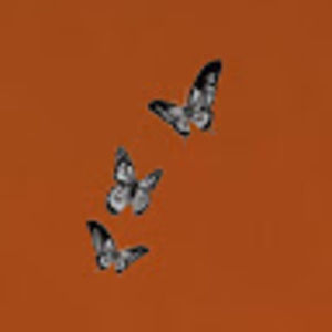 Meet your Posher, Jakayla